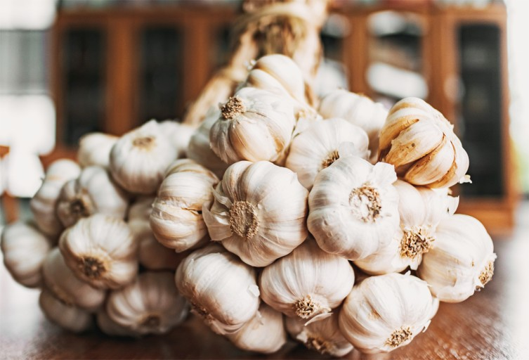 Garlic: The Aromatic Powerhouse